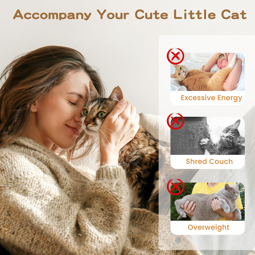 6Pcs Cat Feather Wand Toy Set for Indoor Cats Self Play & Exercise