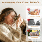 6Pcs Cat Feather Wand Toy Set for Indoor Cats Self Play & Exercise
