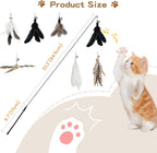 6Pcs Cat Feather Wand Toy Set for Indoor Cats Self Play & Exercise