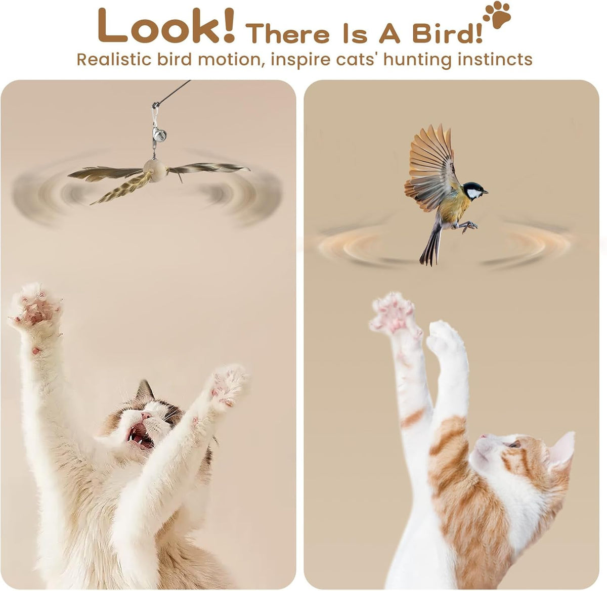 6Pcs Cat Feather Wand Toy Set for Indoor Cats Self Play & Exercise