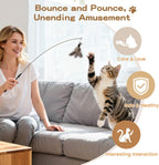 6Pcs Cat Feather Wand Toy Set for Indoor Cats Self Play & Exercise