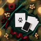 Paw print keepsake kit